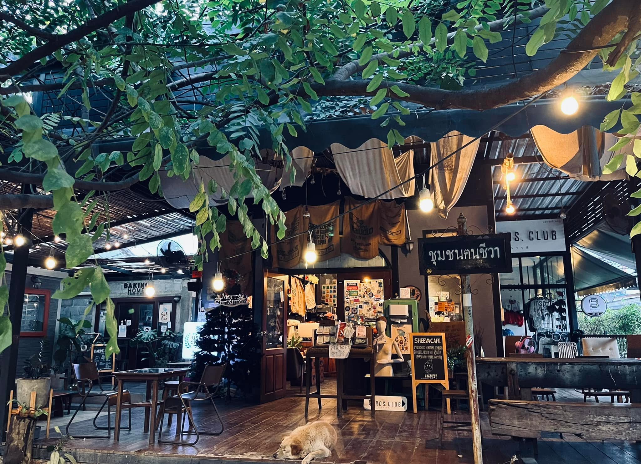 Sheeva Cafe Pattaya