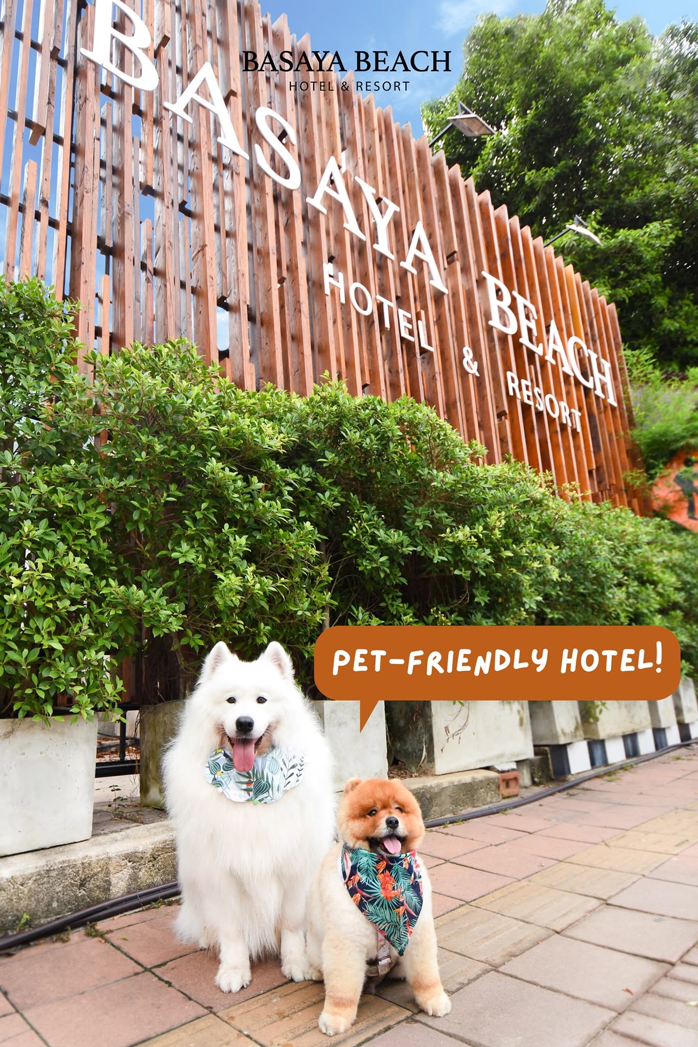 Basaya Beach Hotel & Resort Pattaya
