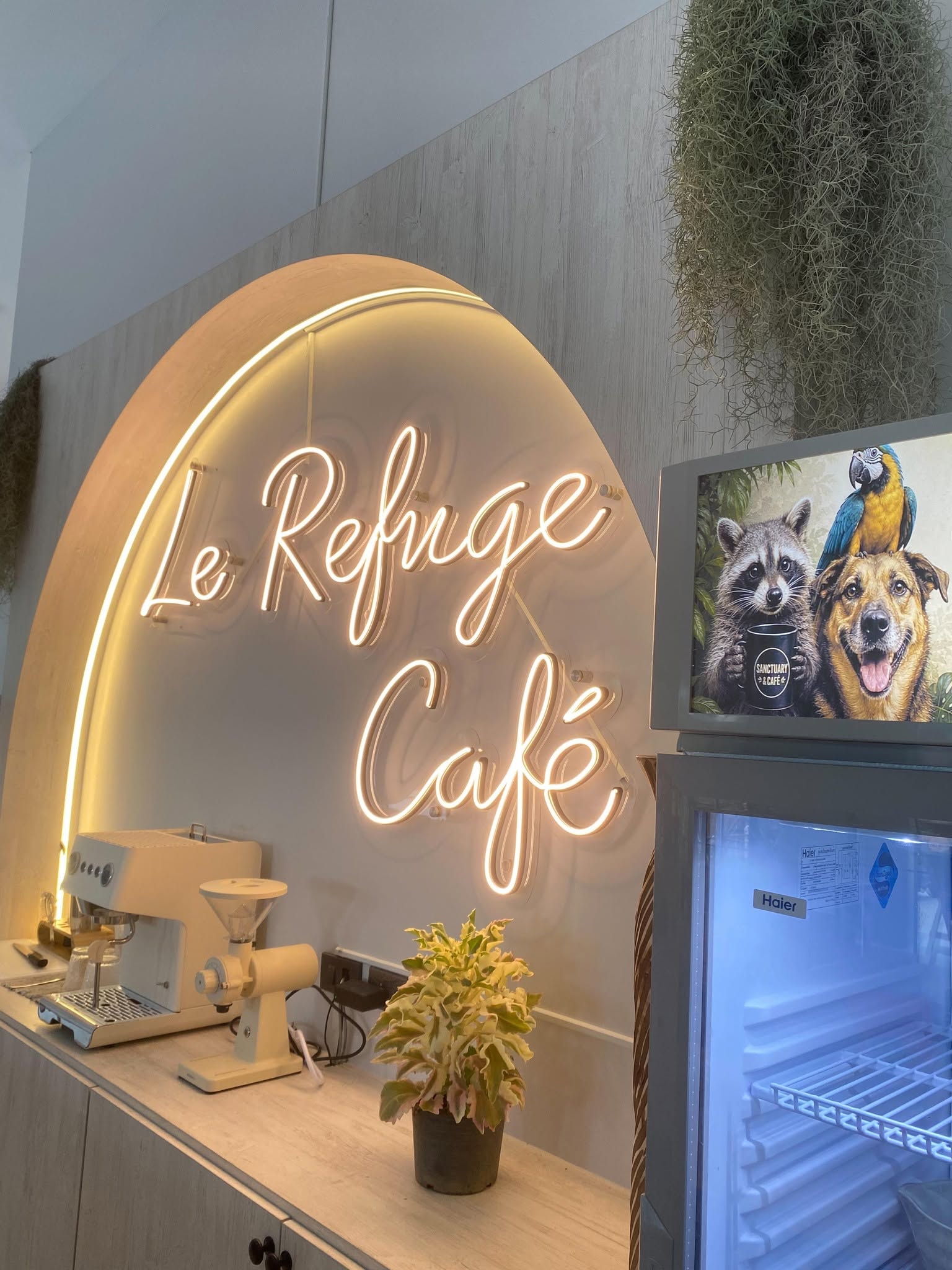Le Refuge Cafe & Animal Sanctuary