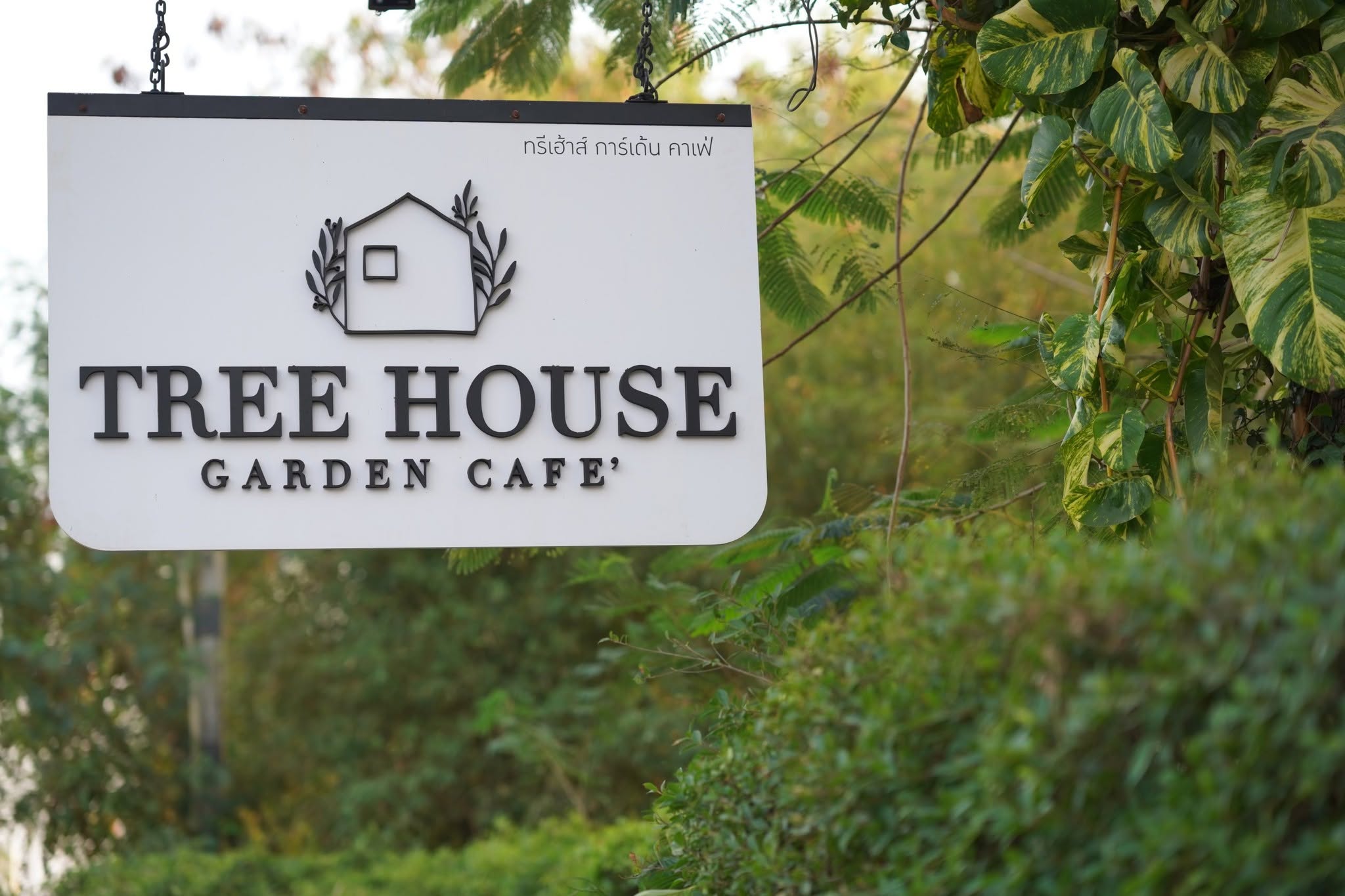 Treehouse Garden Cafe