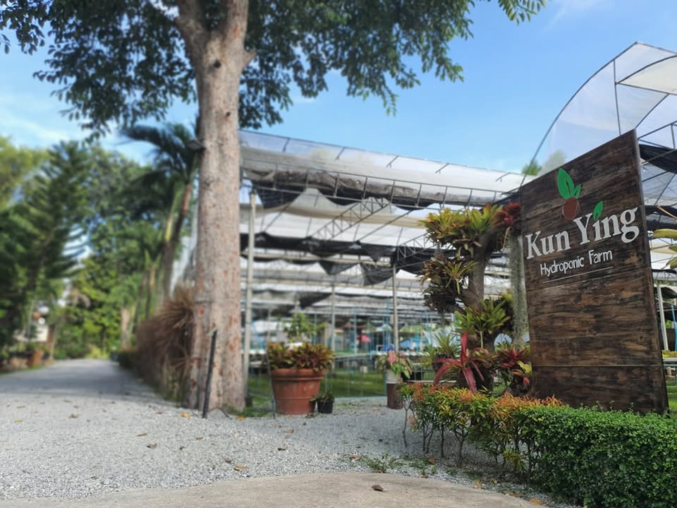 Kun Ying Hydroponic Farm