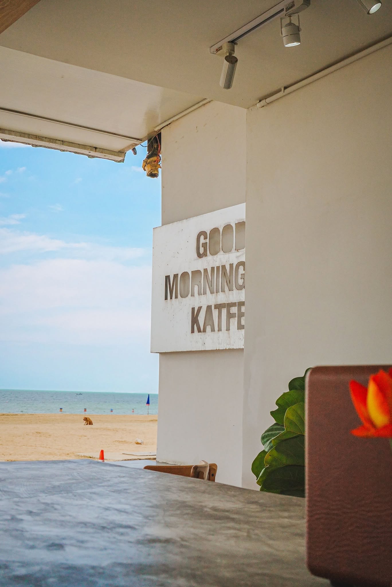 GoodMorning Katfé