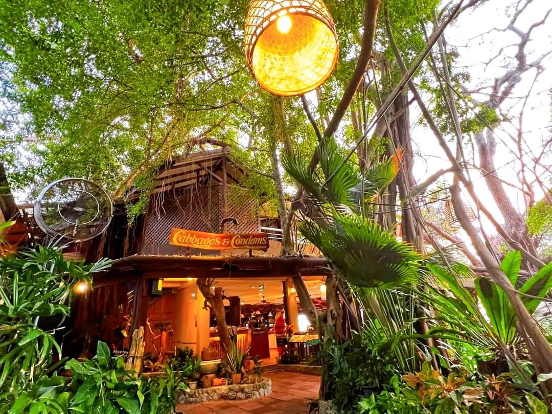 Birds & Bees Resort